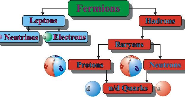 Bosons & Fermions I Fermions are particles with half-integer spin: m S = n 2, n = odd.