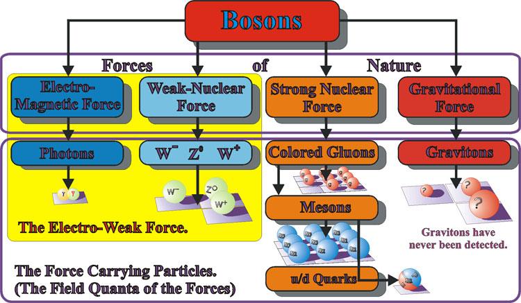 Bosons & Fermions II Bosons are particles with integer spin: m S = n.