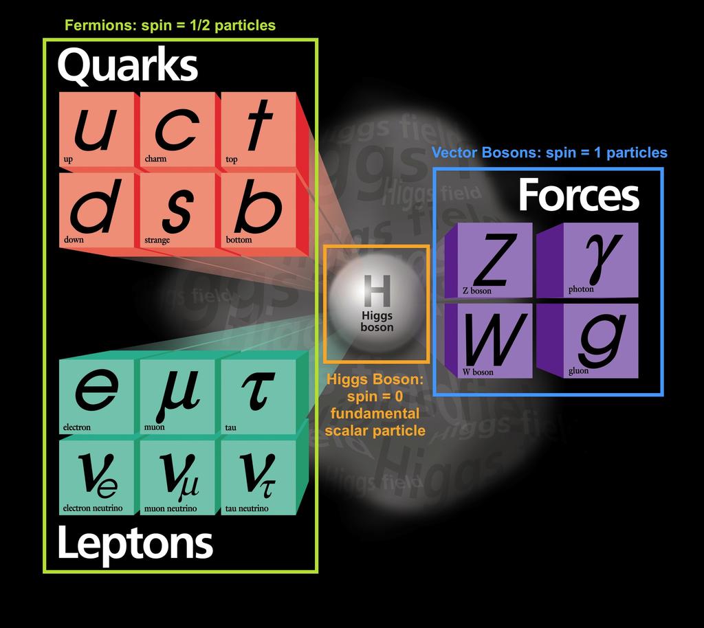 Forces: electromagnetic (γ), strong (g), weak (W ±, Z 0 ),