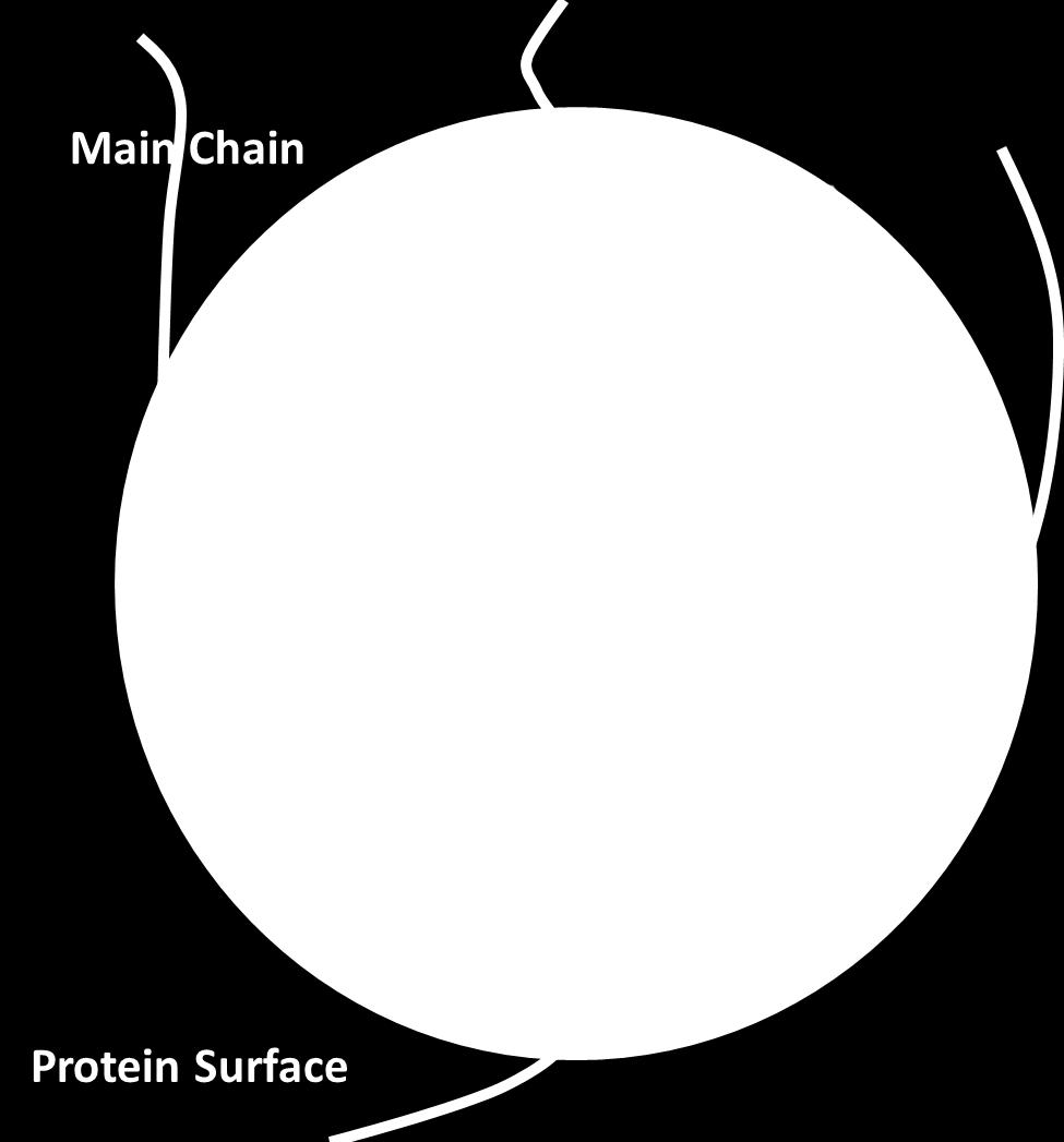 main-chain within a sphere of 6