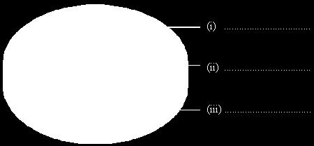 The pie chart shows the percentages, by volume, of the main gases in dry air. Complete the chart by adding the names of these three gases.