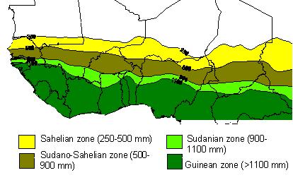 The Sahel Sahel A transition between the southern margin of the Sahara desert and the