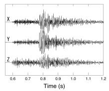 The waveform shows clear arrival of direct P- and S-waves, but it is impossible to discriminate reflected waves directly from such a raw observed signal.