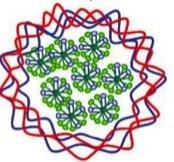Making hollow nanocapsules Vesicle-to-micelle transition Cuomo, F., Lopez, F., Miguel M.G., Lindman, B.
