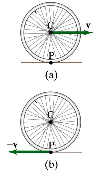 A Rolling Wheel A wheel rolls on the surface without slipping with velocity V (your speedometer) What is the velocity of the