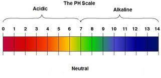 ph describes how basic or acidic a chemical is.