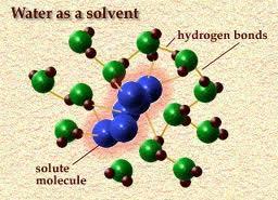 Solvents are substances that dissolve other substances