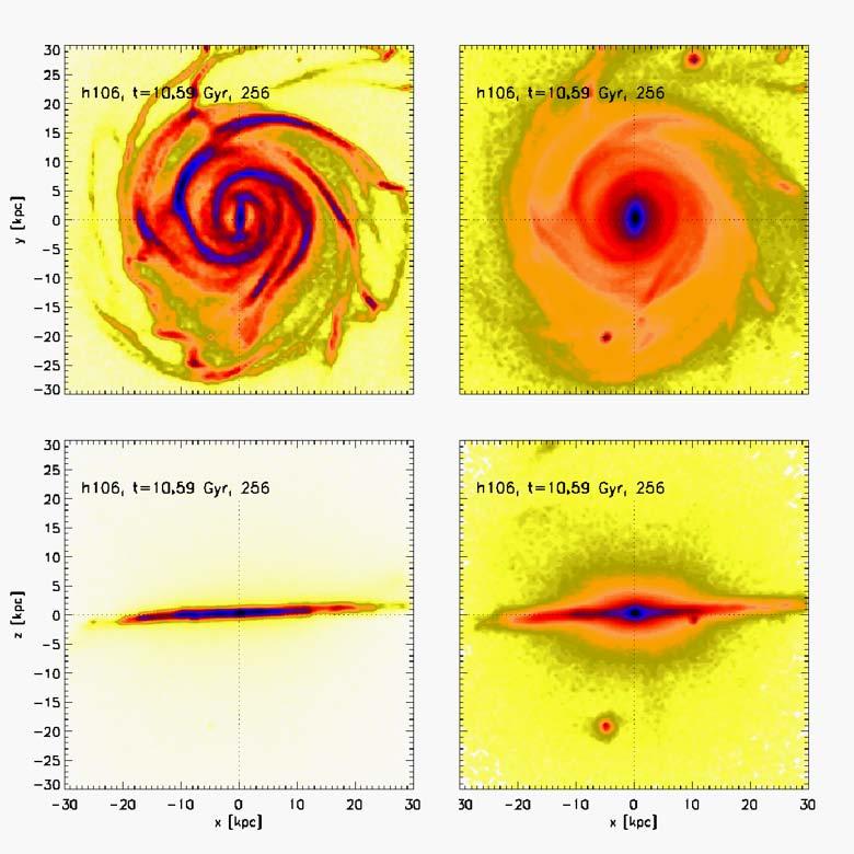 GAS STARS Galactic disk assembly in the cosmological context Simulation in cosmological context Martig et al.