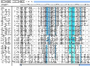 Comparing Two Proteins Sequence Alignment Determining the pattern of evolution and