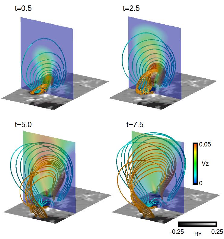 22 Fig. 5. 3D dynamics of the magnetic field lines. Orange lines represent the twisted field lines with more than half-turn twist at t=0 in Run D, i.