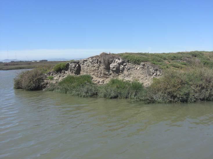Study Purpose Perform a reconnaissance level investigation of existing restoration breaches Establish realistic range of existing breach sizes within SF Bay region Develop an understanding of basic