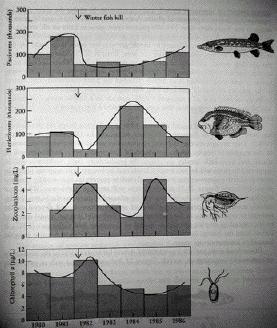 BIO S380T Page 6 the two species population sizes begin on the graph. They will always end up at the stable equilibrium point. B.