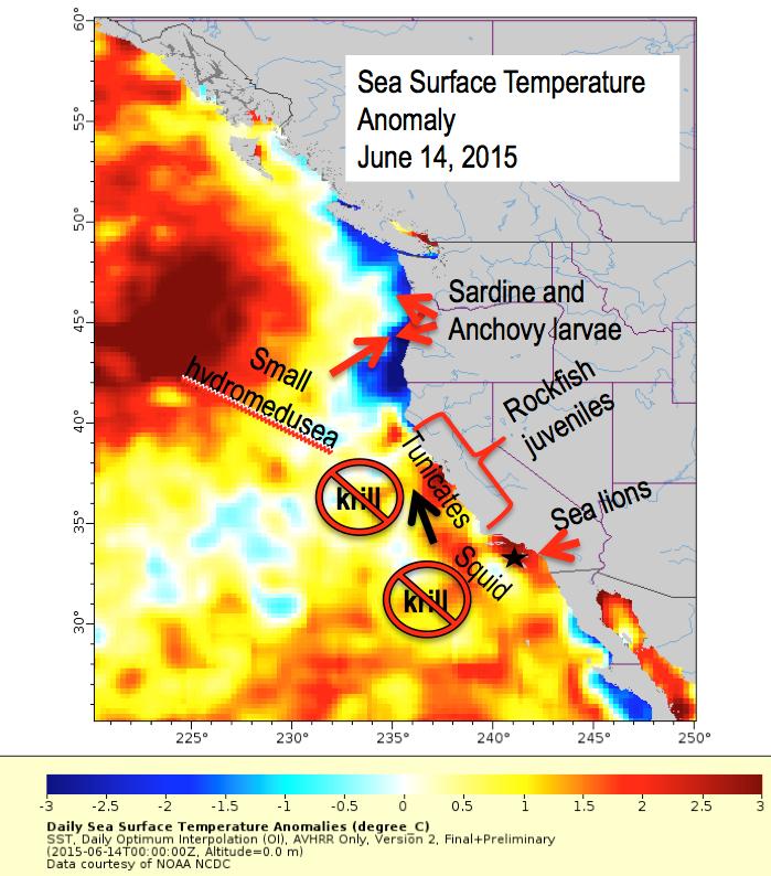 Synthesis: 2015 impacts along the west coast of N.