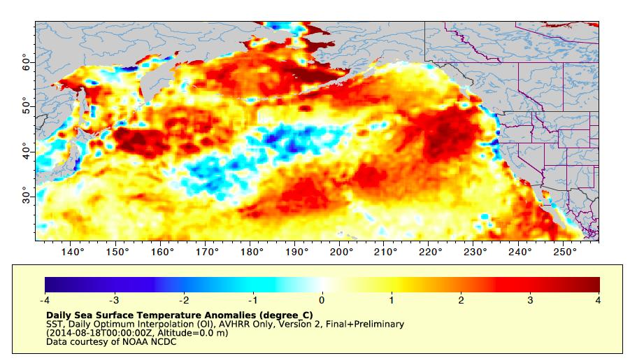 The Blob (2013-2015): A mass of positive temperature anomalies developed in the NE Pacific Ocean during winter of 2013 2015.