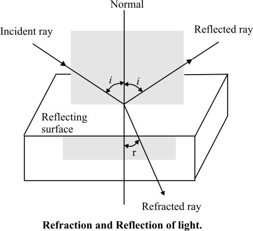 6 The figures here show the ray diagrams for virtual image formed by a concave and convex mirror.