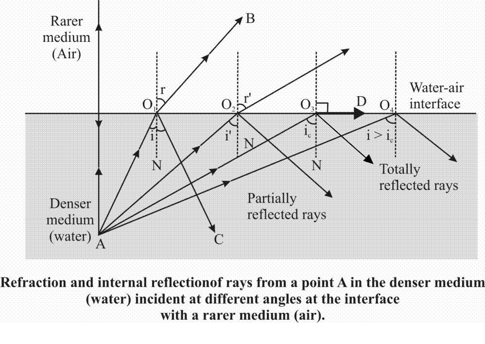 8 When light travels from an optically denser medium to a rarer medium at the interface, it is partly reflected back into the same medium and partly refracted to the second medium.