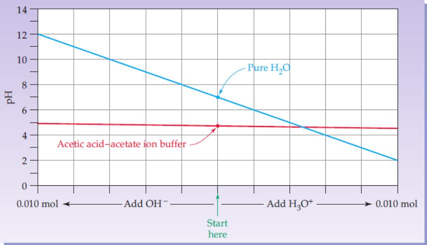 This picture shows what happens when we add.01 M of [H + ]/[OH - ] to both pure water and acetic acid-acetate buffer, notice that the ph varies between: 2-12 in pure water 4.85-4.