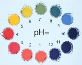 b) Universal indicator: (consists of natural products, it gives a certain ph value) this is a more