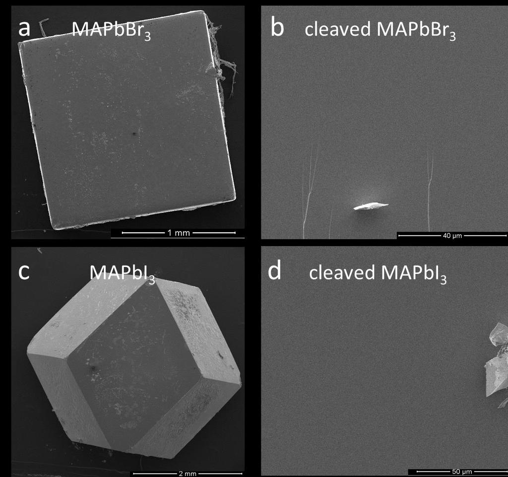 Supplementary Figure 2. SEM images of the surface and cleaved crystals. SEM of (a) surface of MPbBr 3, (b) cleaved MPbBr 3, (c) surface of MPbI 3 and (d) cleaved MPbI 3.