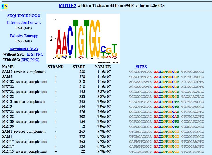 Example of MEME result We ran MEME with 30 yeast genes involved in methionine metabolism and sulfur assimilation (We actually collected all genes having MEY\d+