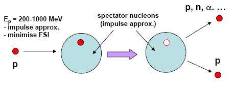 Quasifree hadronic scattering Probes valence and deeply-bound nucleons Simple picture is modified by nuclear medium : distortion of distributions,
