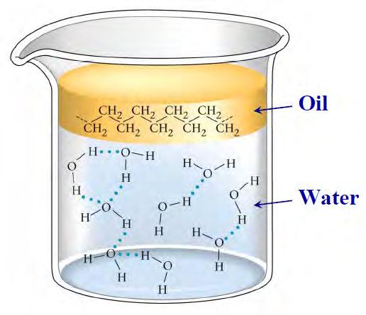 Nature of solutes and Solvents