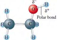 Weak Electrolytes Substances that exhibit a small degree of ionization in water (i.e., conduct only a small current).