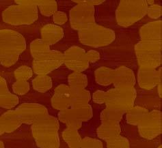 I. More AFM images of G/h-BN Figure S1 shows various hexagonal graphene grains as well as etched hexagonal pits.