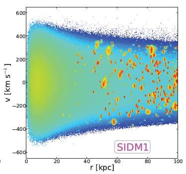 SIDM and direct detection Self-interactions change phase space distribution of DM halo Vogelsberger and Zavala