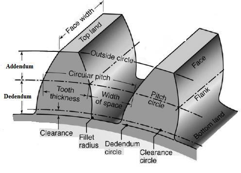 It is the distance between two adjacent teeth measured along the pitch circle.