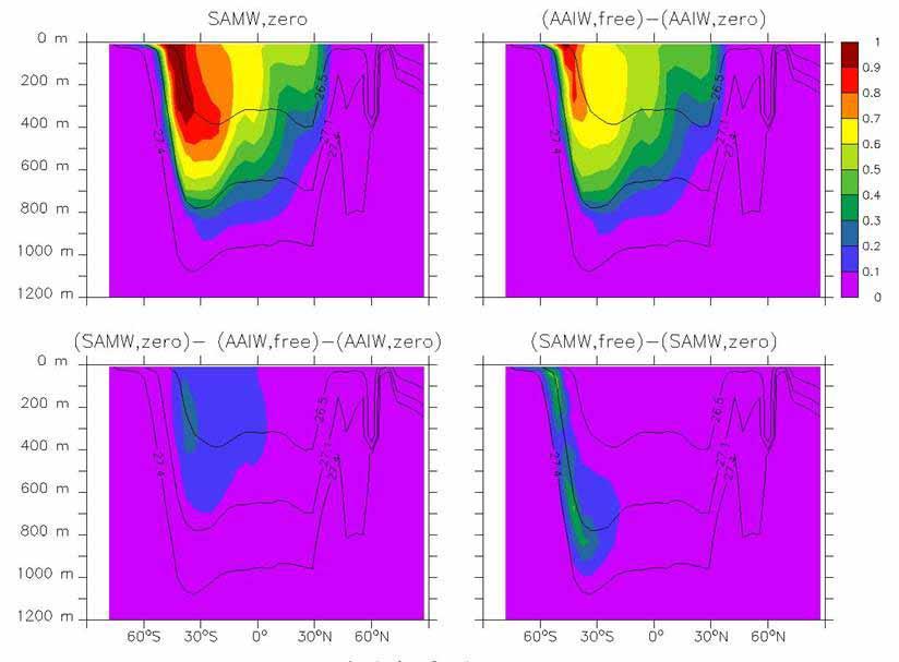 RESULT 1d: Simulations show SAMW dominates the deep water input to the upper thermocline.