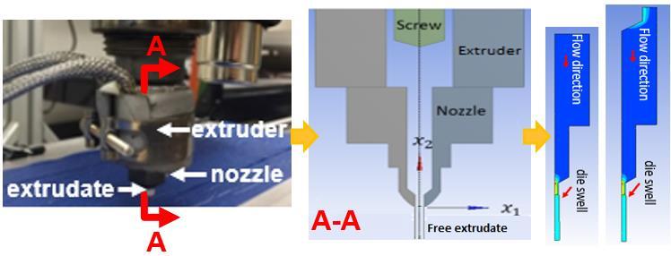 The flow model includes a short section of the extruder that connects the nozzle die, the nozzle portion, and a short strand of a vertical extrudate.