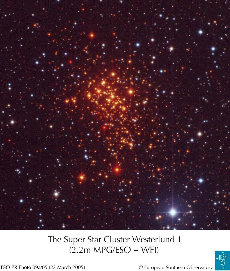 Milky Way Cluster