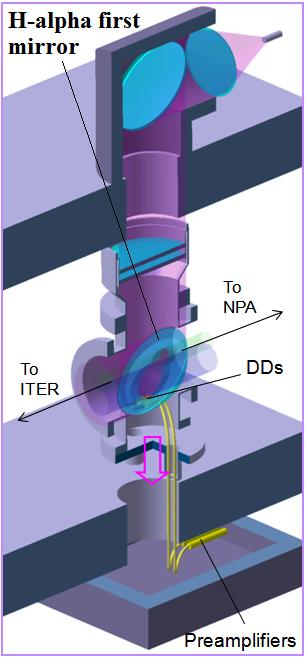 the analyzers. The 2 DDs are attached to the mirror holders and are removed down from the pipe along with the mirror, as shown in Fig. 5 by pink arrow.