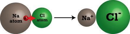 changes an atom into a negative ion. Losing electrons changes an atom into a positive ion. Individual atoms do not form ions by themselves.