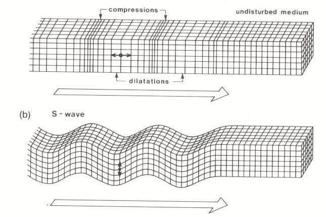 (a) Rayleigh waves Rayleigh wave particle motion - retrograde elliptical - decreases exponentially with depth - function of α and β (b) Love waves Love wave