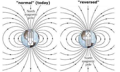 Magnetic Field Reversal Careful study of the magnetic structure of ancient rocks suggests that the Earth s magnetic field has reversed its direction many times over the Earth s history.