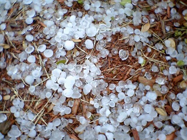 A pile of pea size hail at the National Weather Service Office in Binghamton, NY.