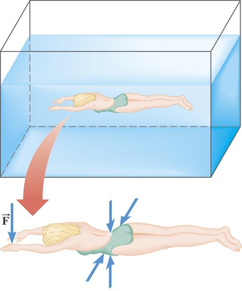 11.2 Pressure Pressure is the amount of force acting on an area: Example 2 The Force on a Swimmer P = F A SI unit: N/m 2 (1 Pa = 1 N/m 2 ) Suppose the pressure acting on the back of a swimmer s hand