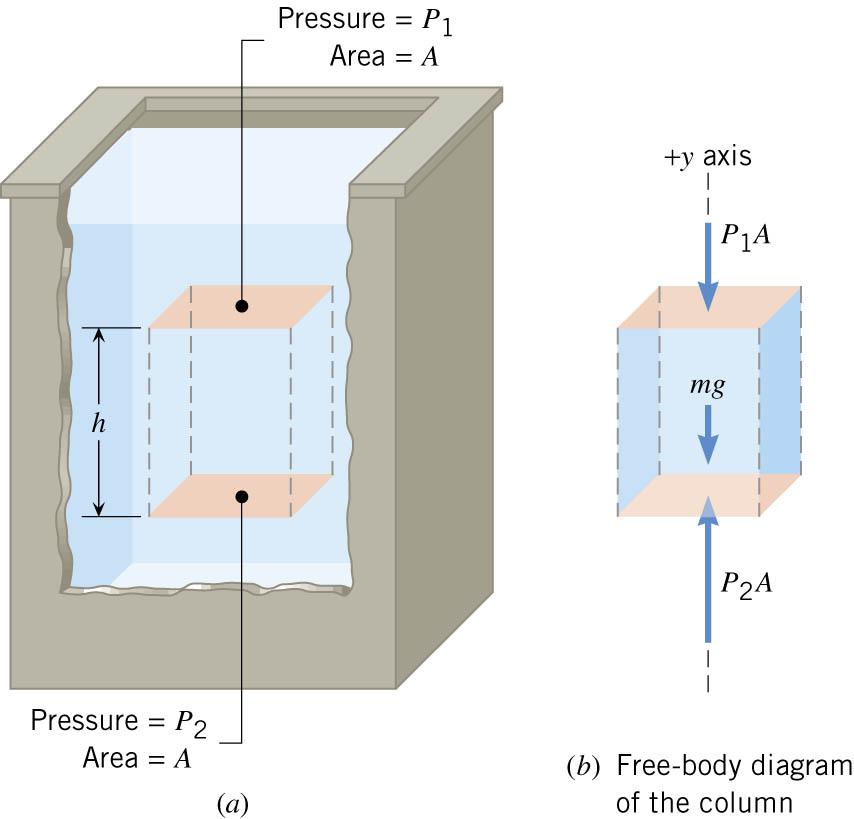 11.3 Pressure and Depth in a Static Fluid Fluid density is ρ Equilibrium of a volume of fluid F 2 = F 1 +