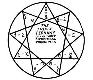 THE ENNEANGLE The Enneagram, third form, reflected from every fourth point.