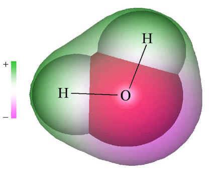 The shape of the water molecule and the atoms in it give water a special property called polarity.