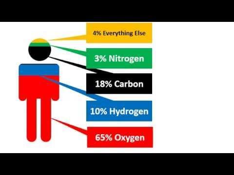 Combinations (molecules) of: carbon, hydrogen, oxygen,