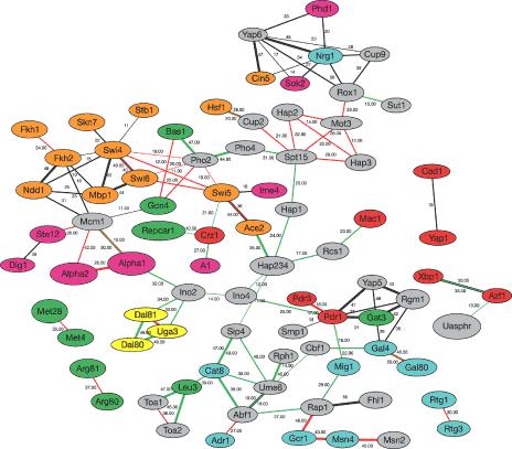 htm Charting gene regulatory networks: strategies, challenges and perspectives Gong-Hong WEI, De-Pei LIU1 and Chih- Chuan LIANG ; Biochem J.