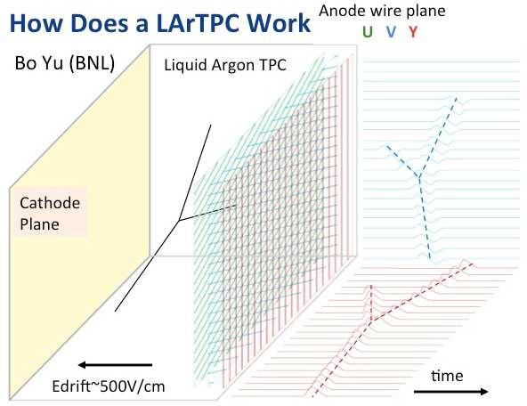 FIGURE 1. (color online). (Left) The working principle of a LArTPC. A charged track in the TPC volume ionizes electrons.