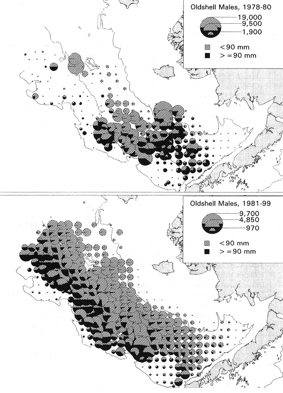 EASTERN BERING SEA: Snow crabs (1/2) Distributions of snowcrabs in the eastern Bering Sea derived from NMFS