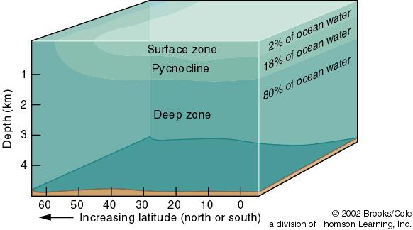 Density increases with depth, maximum change at the pycnocline Surface mixed layer is only ~ 2% of ocean volume Pycnocline is ~ 18% of ocean volume
