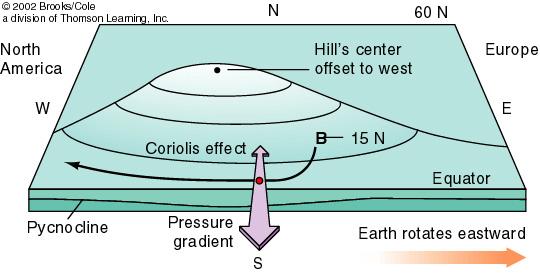 Gravity Ekman transport piles water toward the centre of the gyre Force of gravity on the piled up water creates pressure gradient away from centre of