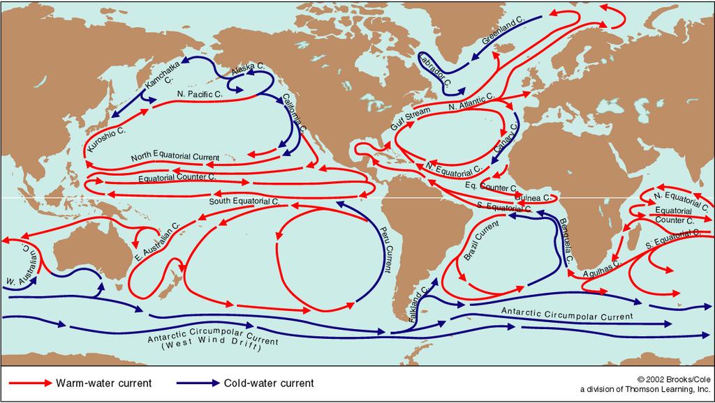 Earth's rotation In the northern hemisphere Currents on western side of the ocean (western boundary currents) are narrow and fast flowing Currents on