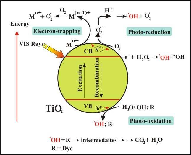 M n+ + TiO 2 * (e - cb) M ( n-1) + (electron trapping) M (n-1) + + O 2 M n+ + O 2 TiO 2 * (h + vb) + OH - TiO 2 + OH 3 Dye 1 + OH Degradation of the dye The concentration of transition metal ions is